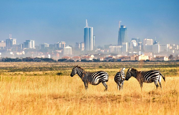 Nairobi-National-Park with Mufasa Tours and Travels