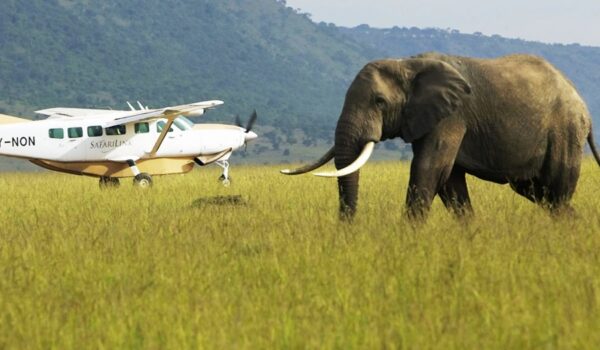 kenya fly in safari