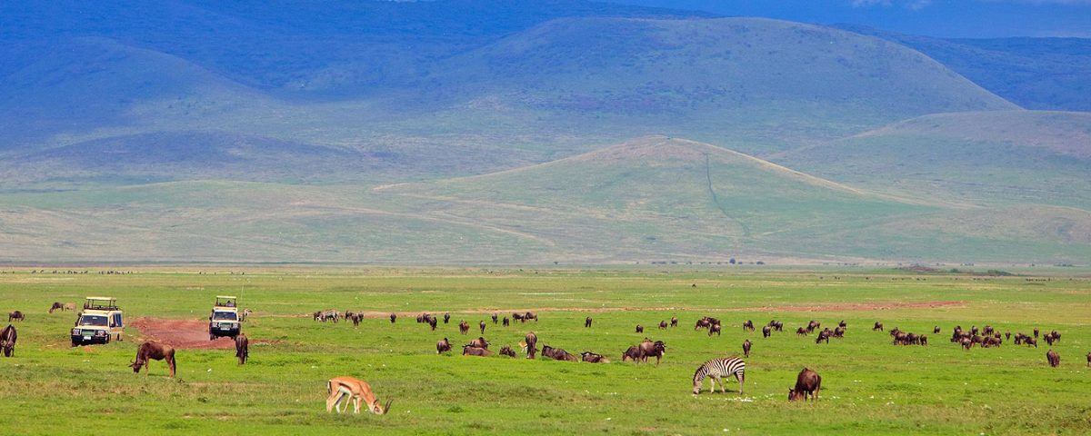 ngorongoro crater national park