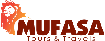 Mufasa Tours and Travels | Open Roof Tour Vans - Mufasa Tours and Travels