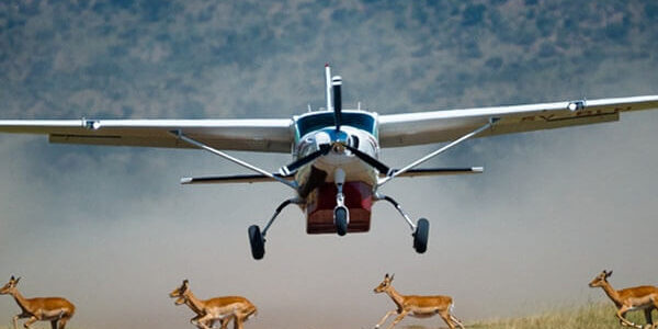 flying safaris
