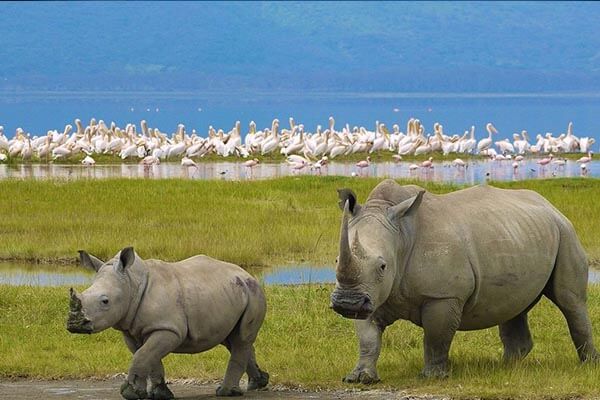 lake nakuru