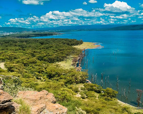 lake nakuru landscape lake nakuru landscape